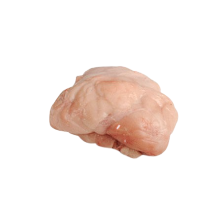 שקדי עגל